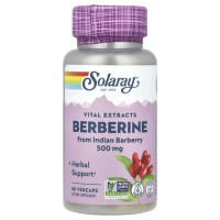 Berberine Extract 500 mg 60 caps