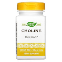 Choline 500 mg 100 caps