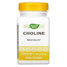 Choline 500 mg 100 caps