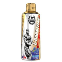 Carnitine 3000 473ml (32 порции)