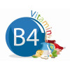 Витамин B4 (Холин)